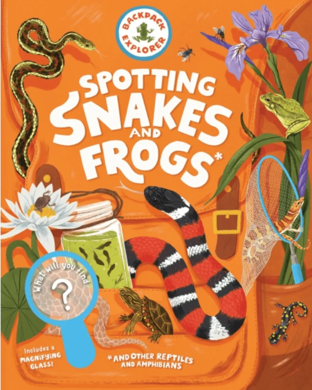 1iSpotting-Snakes-and-Frogs-and-Other-Reptiles-and-Amphibians-What-Will-You-Find-