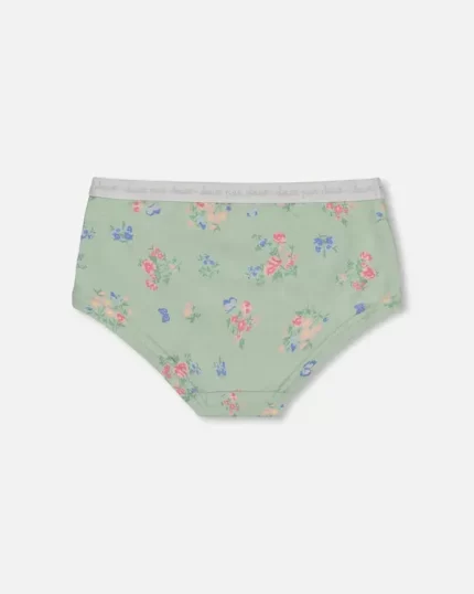 Printed Organic Cotton Boyshort Panty Small Pink And Blue Flowers On Light Sage