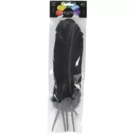 Touch of Nature 4-Piece Turkey Feather for Art and Craft 12.25 to 13-Inch