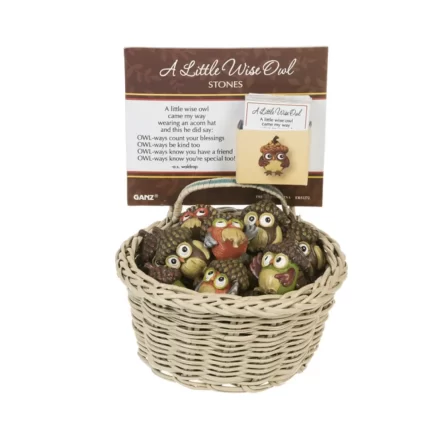 Charms: A Little Wise Owl Stone